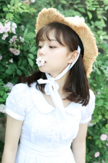厨房春潮莲花坐顶